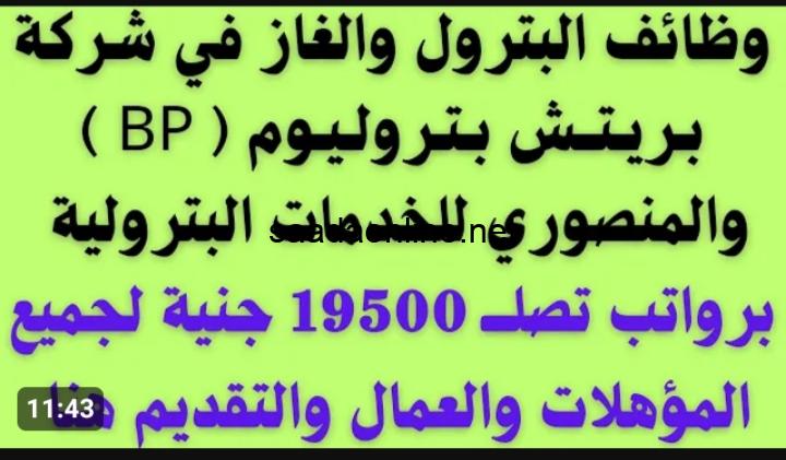 « براتب 19500 في الشهر » .. وظائف وزارة البترول 2024 بمرتبات ضخمة لجميع شباب مركز منيا القمح وبنها