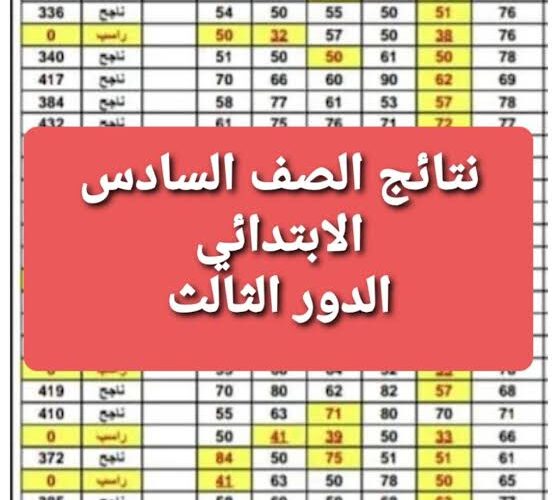 موقع نتائجنا.. رابط استخراج السادس الاعدادي 2023 الدور الثالث بالرقم الامتحاني عبر موقع وزارة التربية والتعليم العراقية