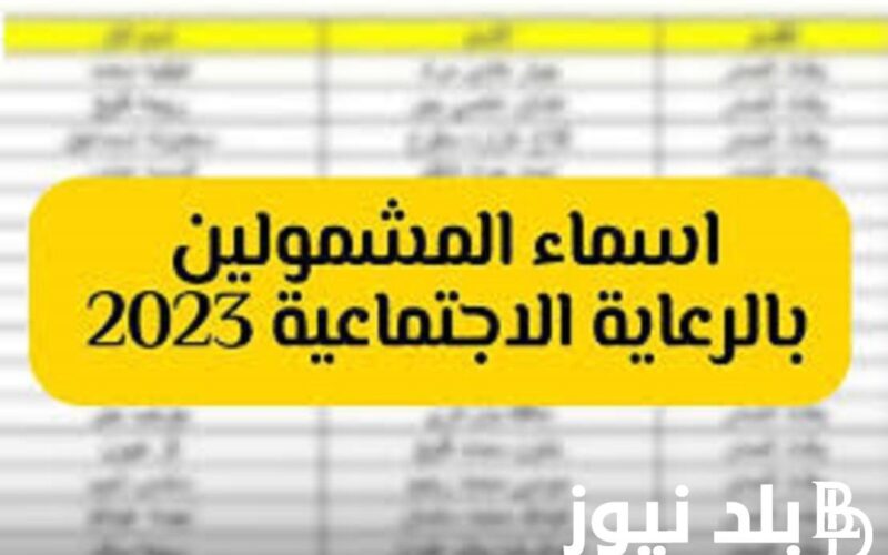 تحميل PDF.. كشوفات أسماء المشمولين بالرعاية الاجتماعية 2023 الوجبة الأخيرة عبر منصة مظلتي