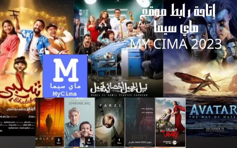 شغال الان: رابط موقع ماي سيما الجديد 2023 وتابع اجدد الأفلام والمسلسلات مجانا بدون اشتراك