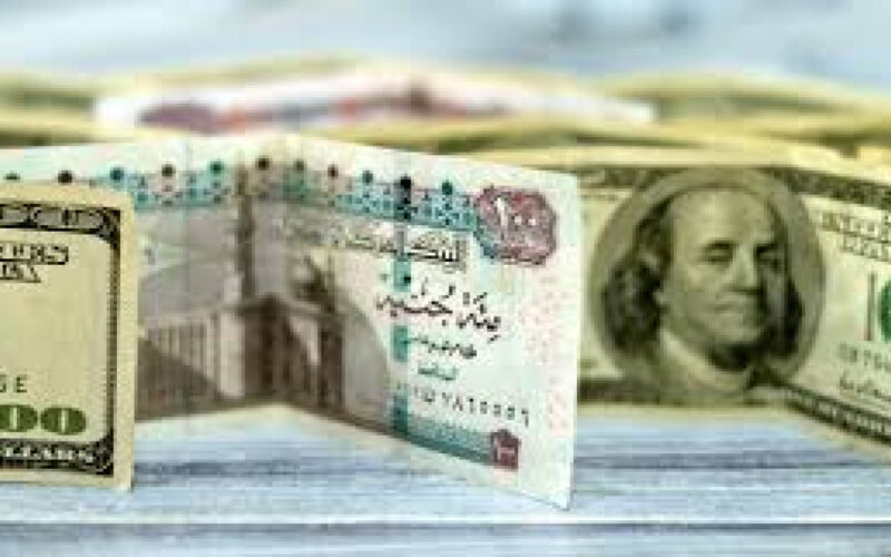 تراجع بقيمة 3 قروش.. سعر الدولار مقابل الجنيه المصري اليوم الثامن عشر من شهر سبتمبر ٢٠٢٤